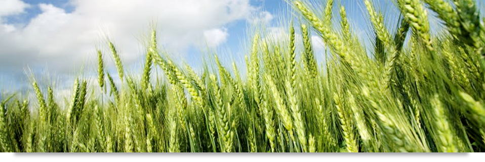 agricultural-equipments